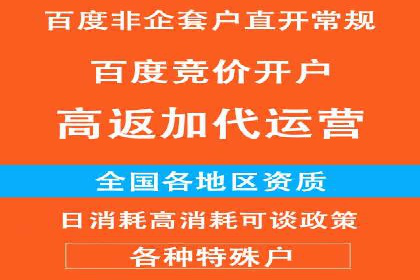案例研究：百度竞价广告投放效果